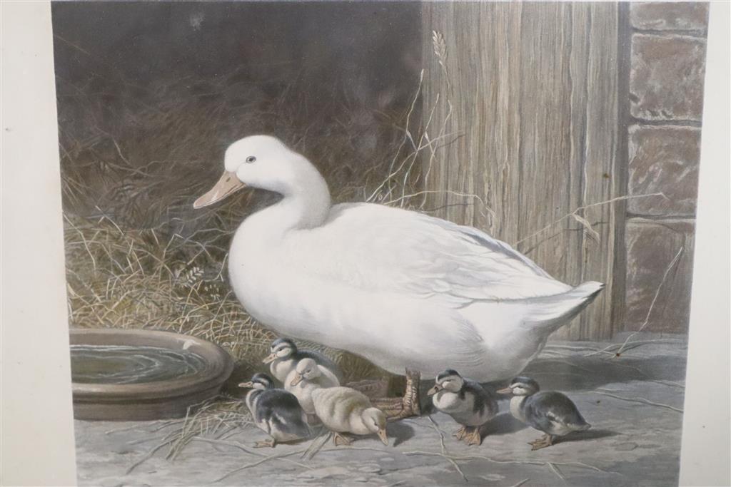 After J.F Herring, set of seven chromolithographs, Foress Series of The Mothers, overall 35 x 42.5cm